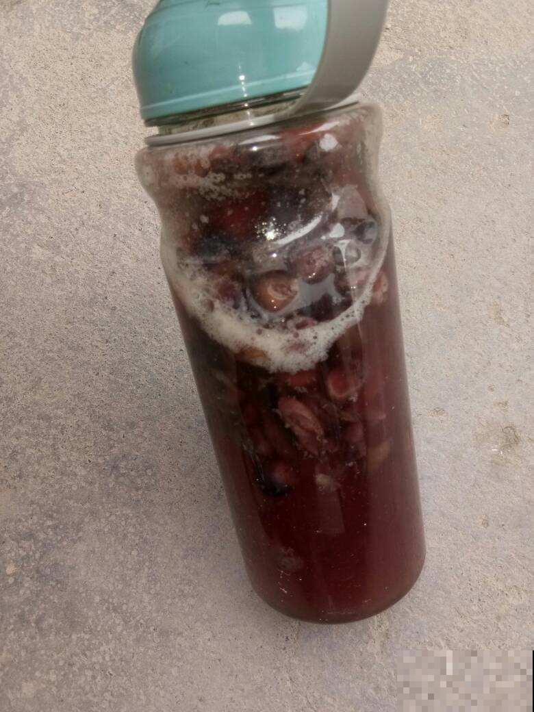 吃剩的果皮不要丢,水里浸泡一天一夜,用来浇花效果超好 吃剩的果皮不要丢,水里浸泡一天一夜,用来浇花效果超好