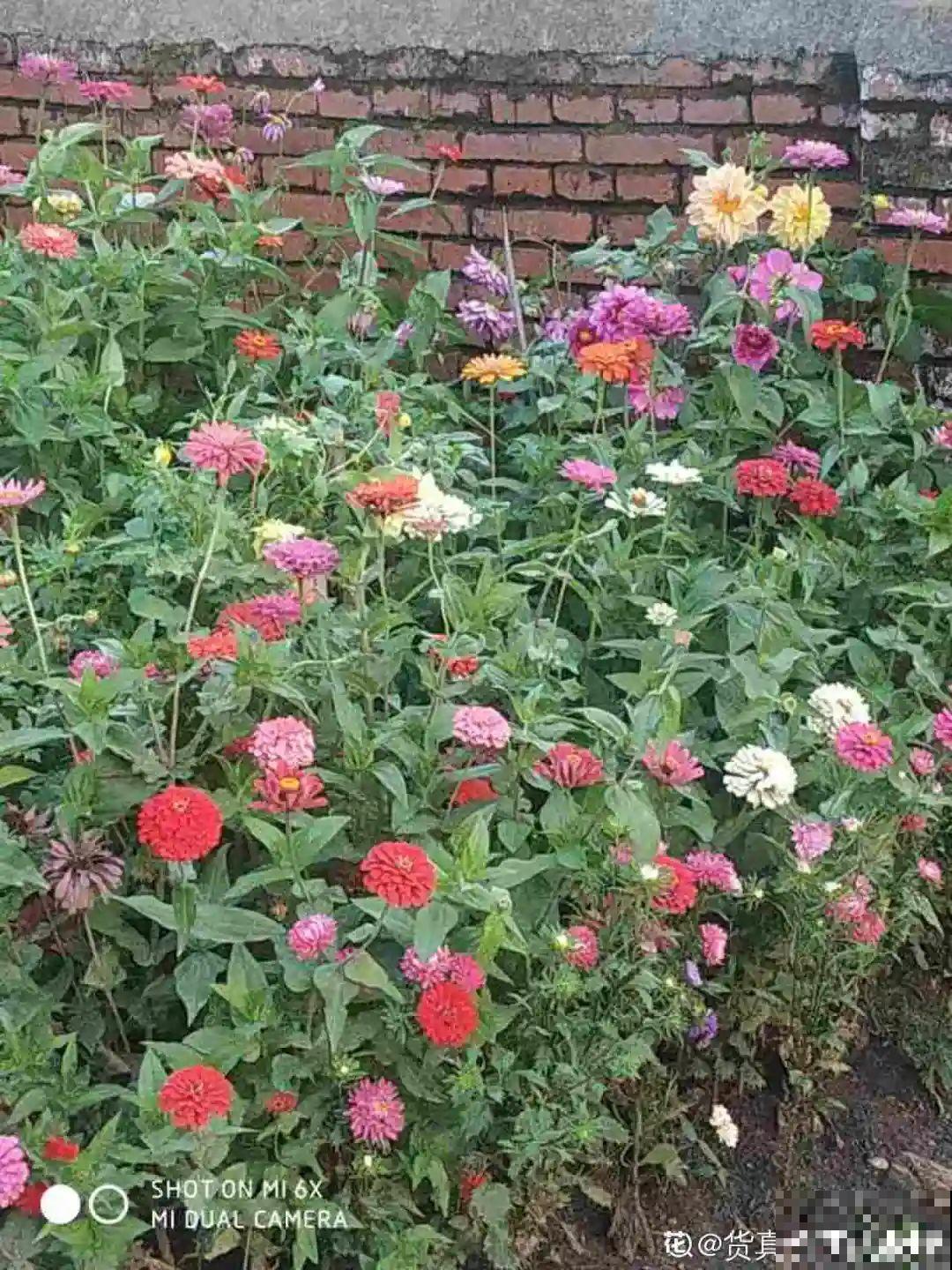 市里区一楼做个小花园，的确很美，一定要注意照顾邻居感受