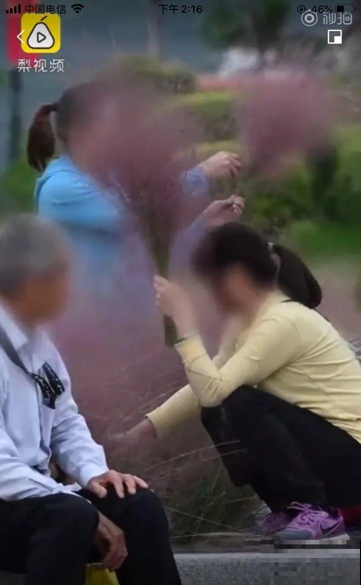 假期出门玩，遇到不文明行为，必须曝光！