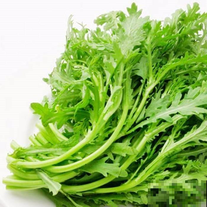 4种菜在家就能种，一茬一茬长不停，安全又放心