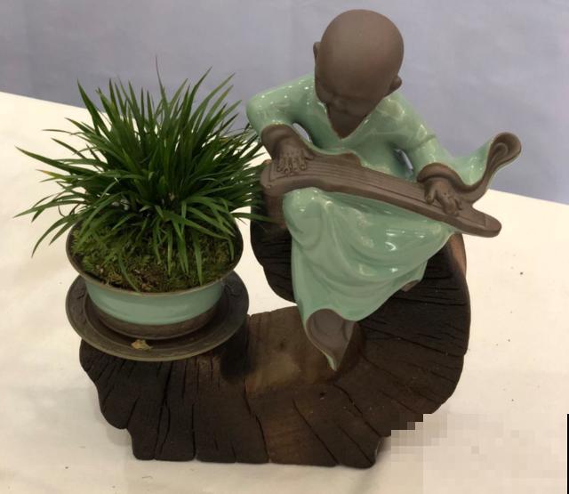 种几棵菖蒲当盆景，气质独特，文人风骨尽显！