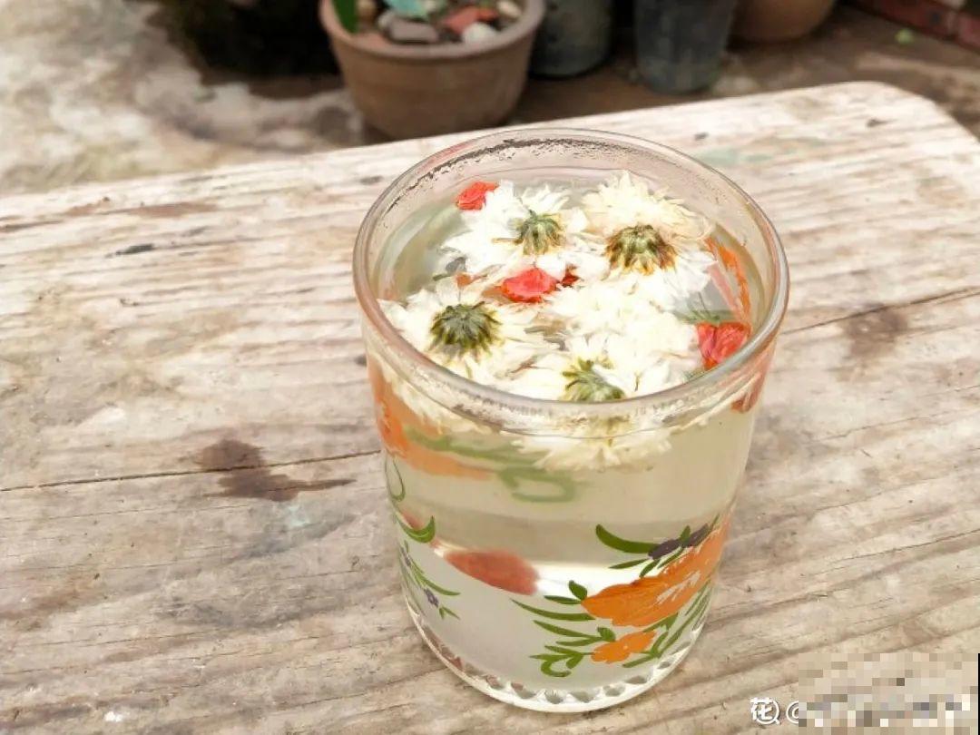 家养的花，开败之后还能炖，一点也不亏