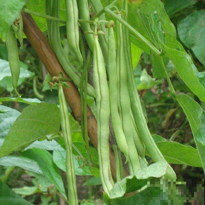 想要厨艺快速提升,教你4个做菜小技巧,超实用! 想要厨艺快速提升,教你4个做菜小技巧,超实用!