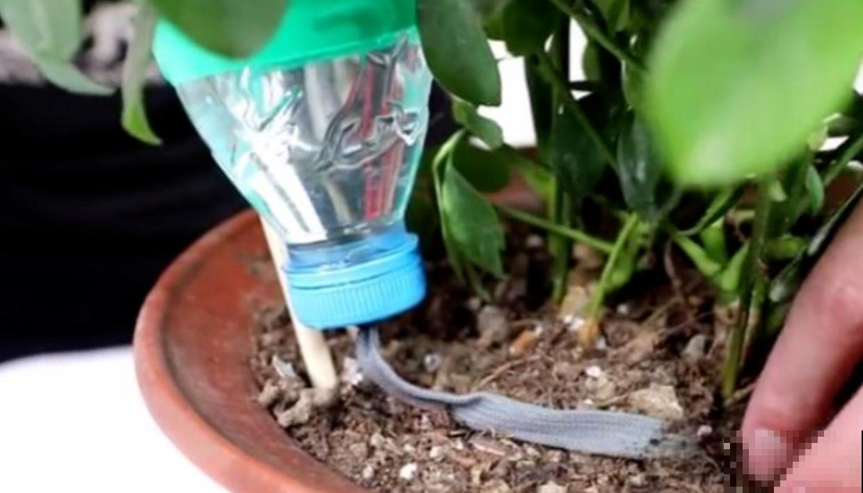 塑料瓶的5个妙用，每个都能征服你，请叫它“万能小帮手”！