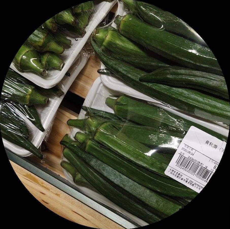 阳台种秋葵结果少？时间挑错了，合适的播种时间很重要！