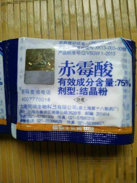 长寿总是不开花，黑塑料袋一套，立马咕噜噜冒花苞！