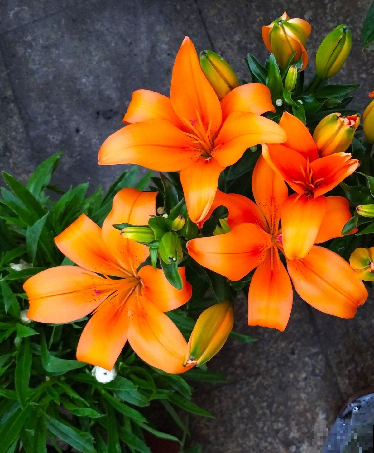 6个生活小技巧，记住一半，越过越幸福