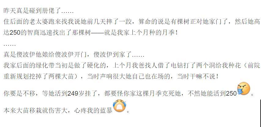 市里区一楼做个小花园,的确很美,一定要注意照顾邻居感受 市里区一楼做个小花园,的确很美,一定要注意照顾邻居感受