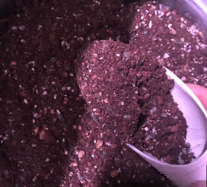 多肉配土有讲究，灵活调配比例，不能“死搬教条”！