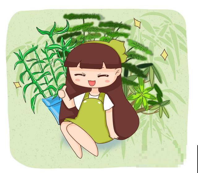四季常青的富贵竹，土培长得更壮，叶子枝条节节高