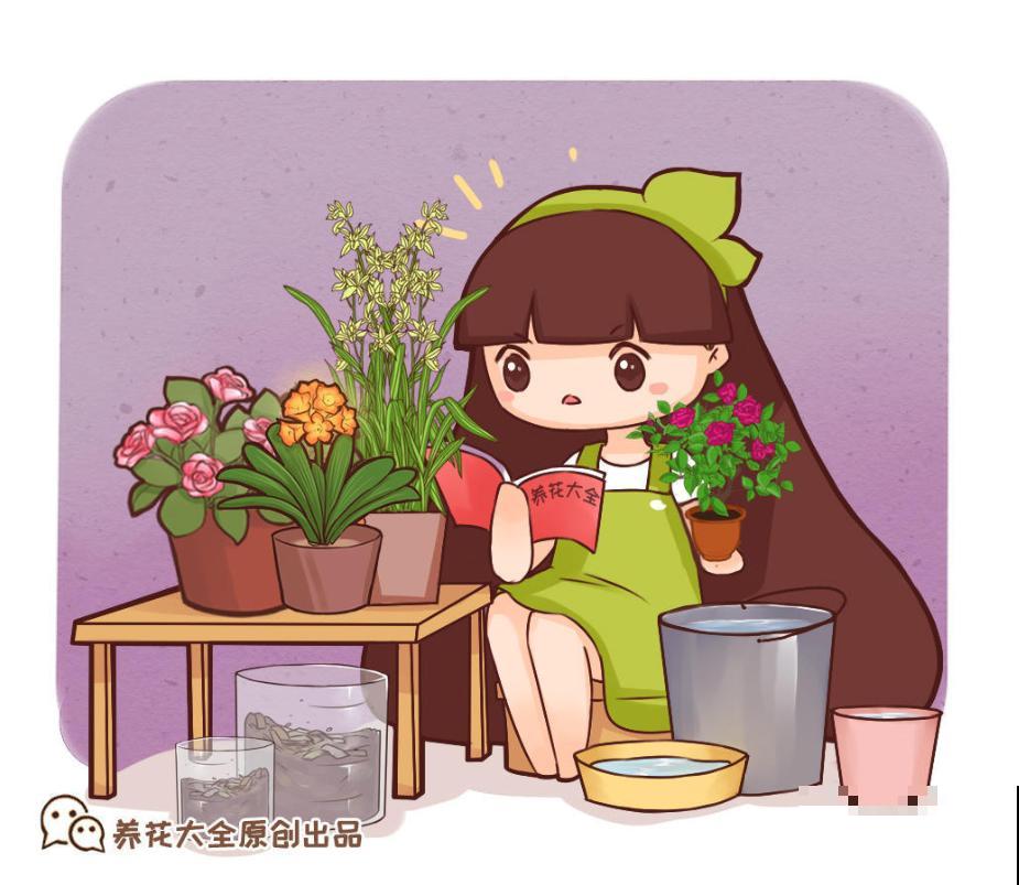 花友出差，花卉没人浇水？3种方法，个个实用！