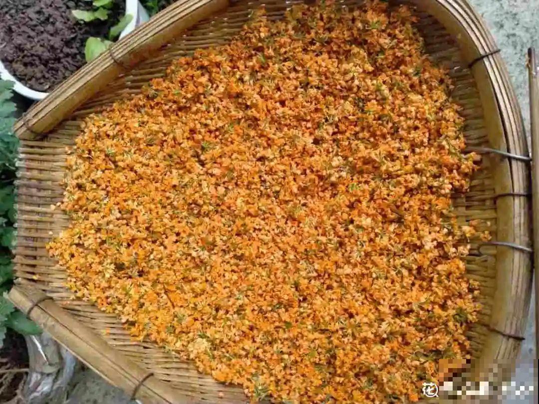 十一赏花图谱，看了啥花都认识，不用问别人！