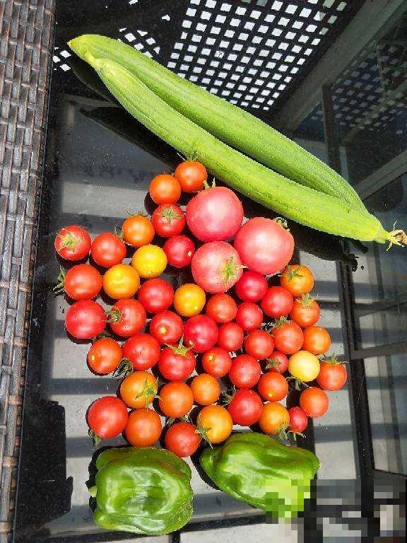 居家养生，妙招不能乱学，这4个养生方法别再学了！