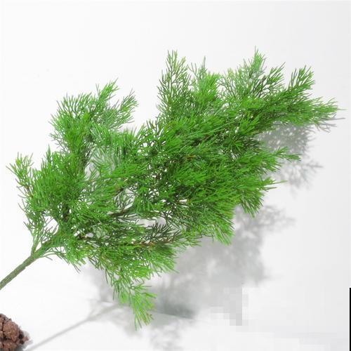 花是一种文化,每个传统节日,都有一种花 花是一种文化,每个传统节日,都有一种花