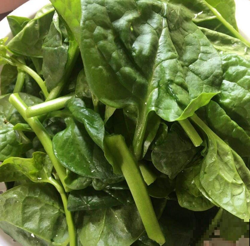 落葵益处多,好吃还有营养,养几棵赚大了! 落葵益处多,好吃还有营养,养几棵赚大了!