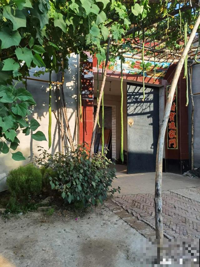 我想有个菜园子,秋天结满新鲜蔬菜,现在正收获! 我想有个菜园子,秋天结满新鲜蔬菜,现在正收获!