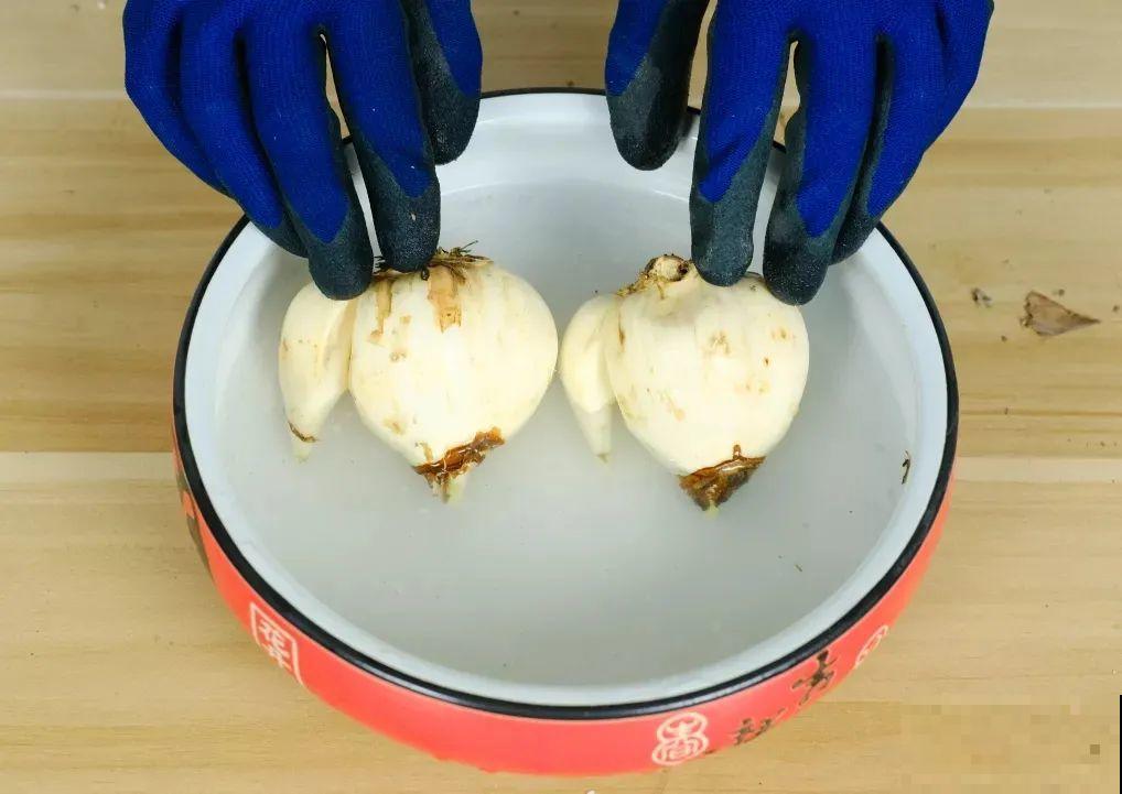 冬天啥花都可以不养，唯独这一种，不养亏大了！