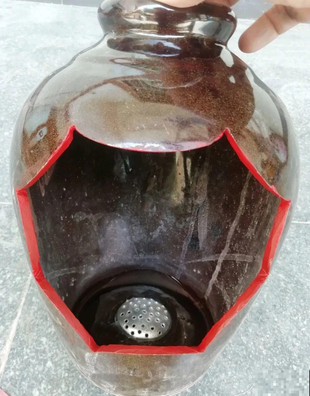 酒瓶子别丢掉,那可是种花神器,省了一笔买花钱 酒瓶子别丢掉,那可是种花神器,省了一笔买花钱