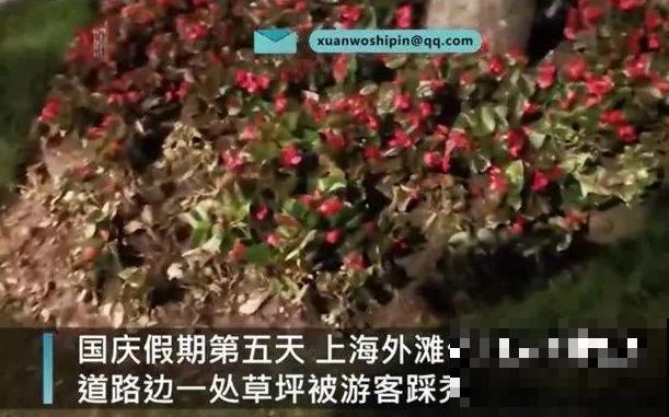 假期出门玩，遇到不文明行为，必须曝光！