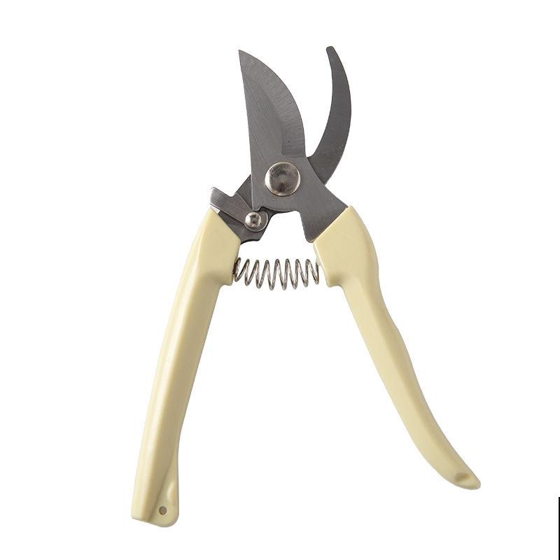 绿植过冬有讲究,太暖和,绿植也能得“暖气病”! 绿植过冬有讲究,太暖和,绿植也能得“暖气病”!