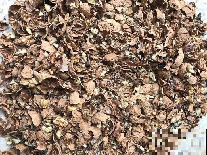 大螃蟹做花肥,秋天大补,花吃完就疯长了! 大螃蟹做花肥,秋天大补,花吃完就疯长了!