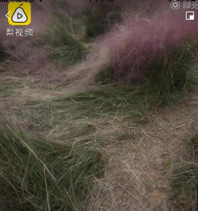 假期出门玩，遇到不文明行为，必须曝光！