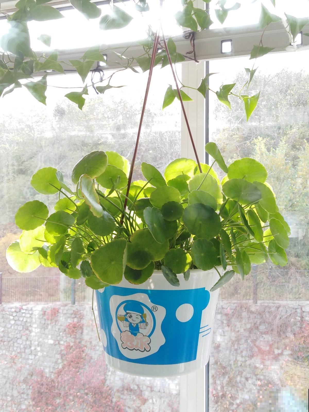 4个擦玻璃的小妙招，只要记住一个，玻璃就能光亮如新