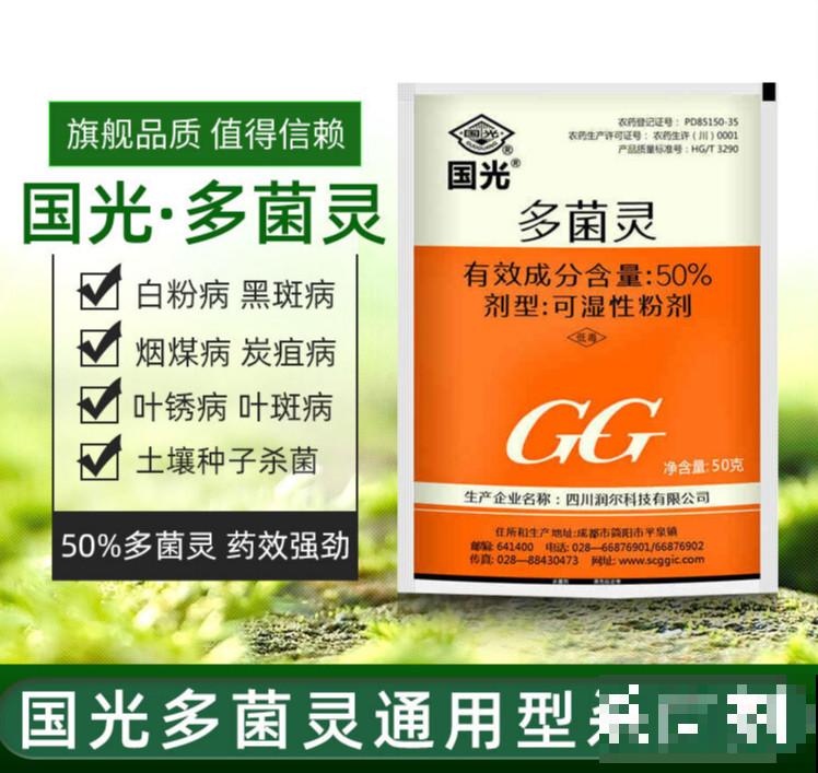 满天星干花不用买，自己就能种，干花、鲜花一起赏！