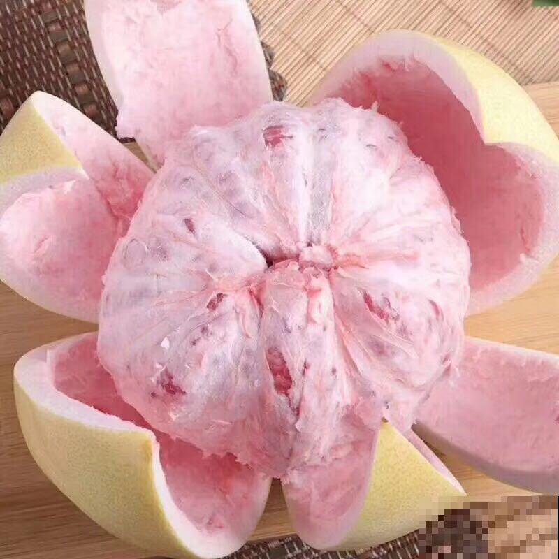 生活妙招虽小，但是有大用处，多记住一个就赚大了