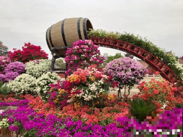 花展上价值好几万的花，看一眼就震撼，太漂亮