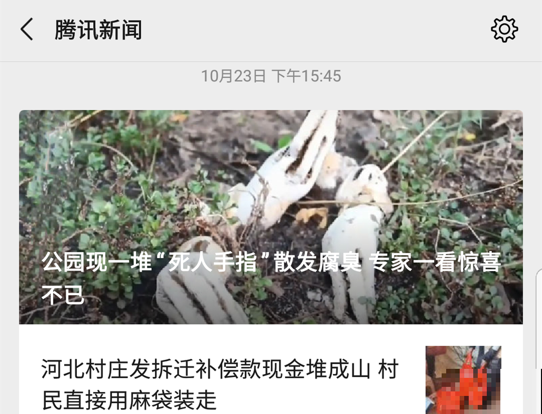 路边看到这种花，赶紧跑，离得越远越好！