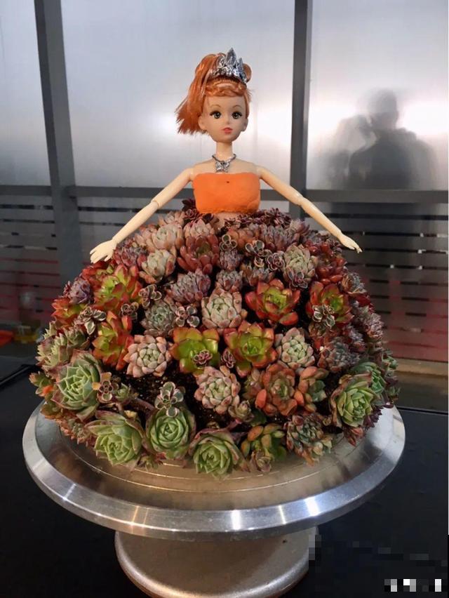 花展上价值好几万的花，看一眼就震撼，太漂亮