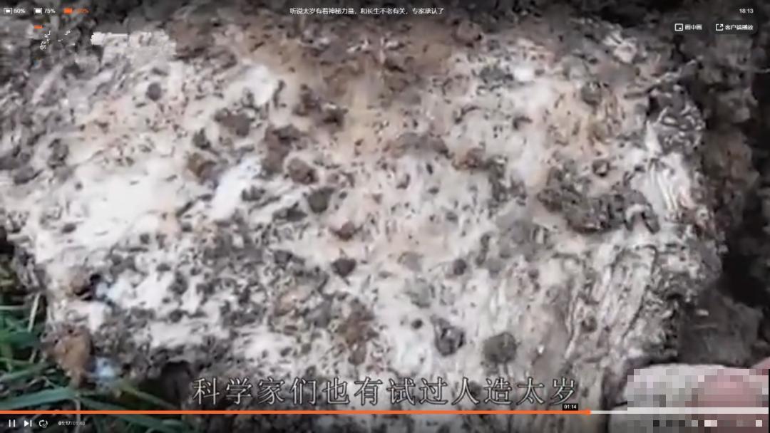 路边看到这种花，赶紧跑，离得越远越好！