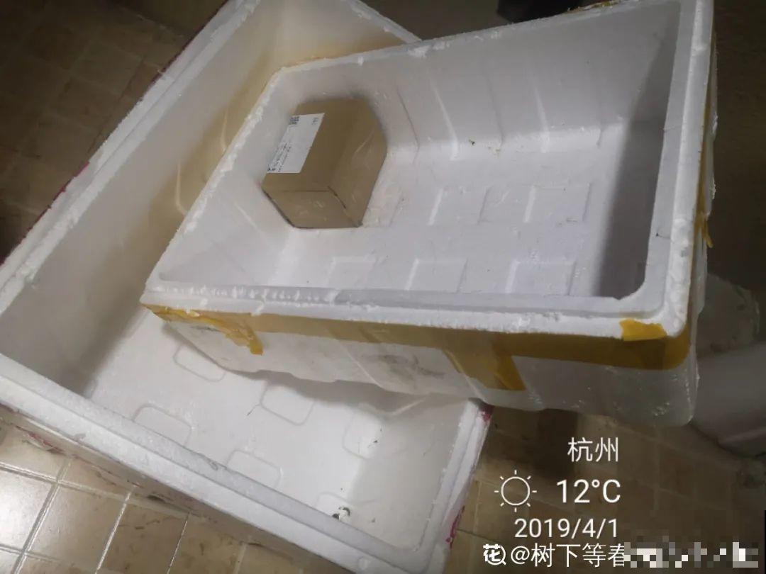 路过垃圾桶，捡走两个泡沫箱，回家扦插出了一大片花