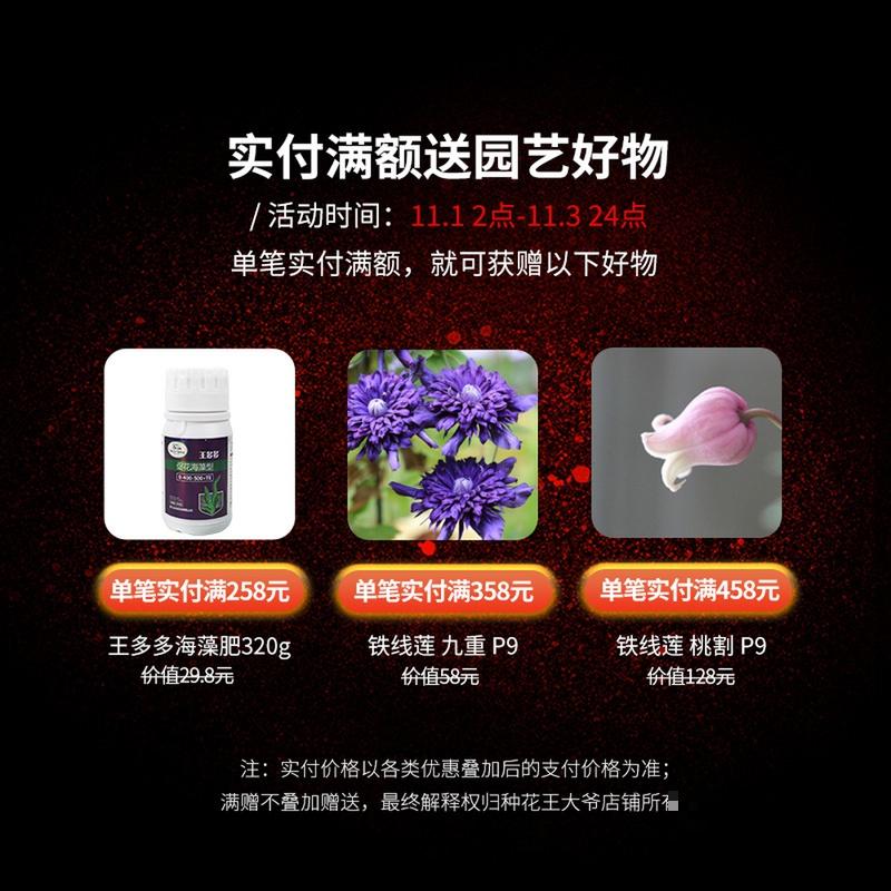 自己在家做肥料，花吃了砰砰爆花，省下一大笔肥料钱