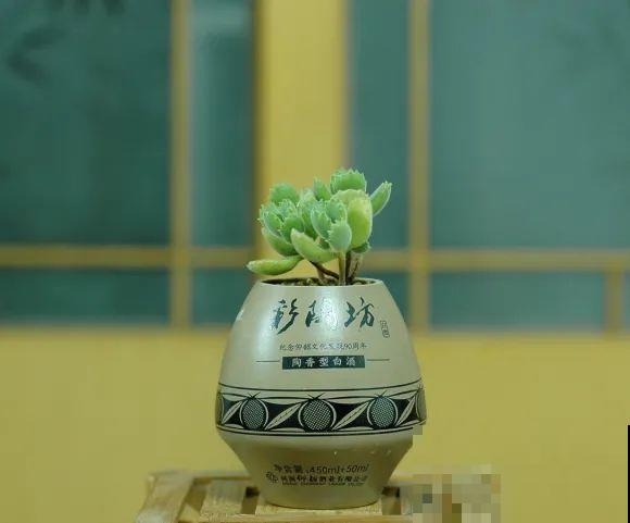 酒瓶子别丢掉,那可是种花神器,省了一笔买花钱 酒瓶子别丢掉,那可是种花神器,省了一笔买花钱