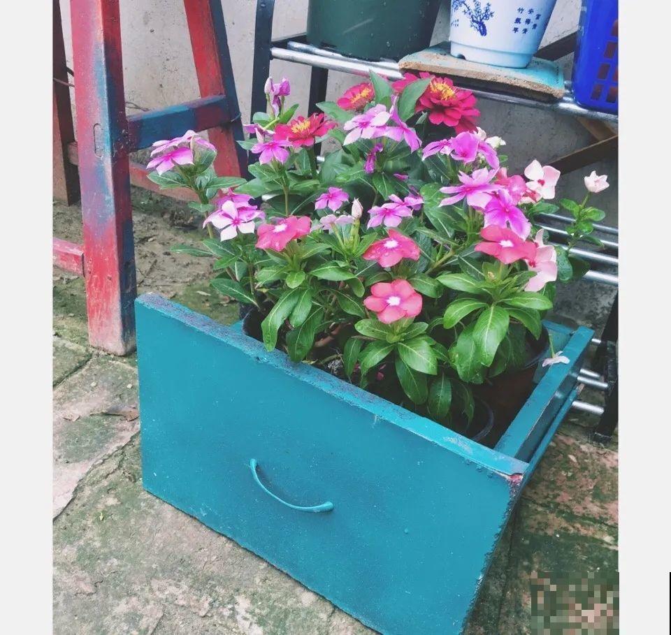 人家拆迁，我捡宝贝，花盆大缸……随便拿！