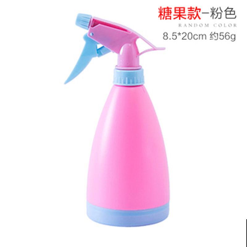 有种“懂事”叫龙舌兰，耐旱耐贫瘠，怎么养皆能活！