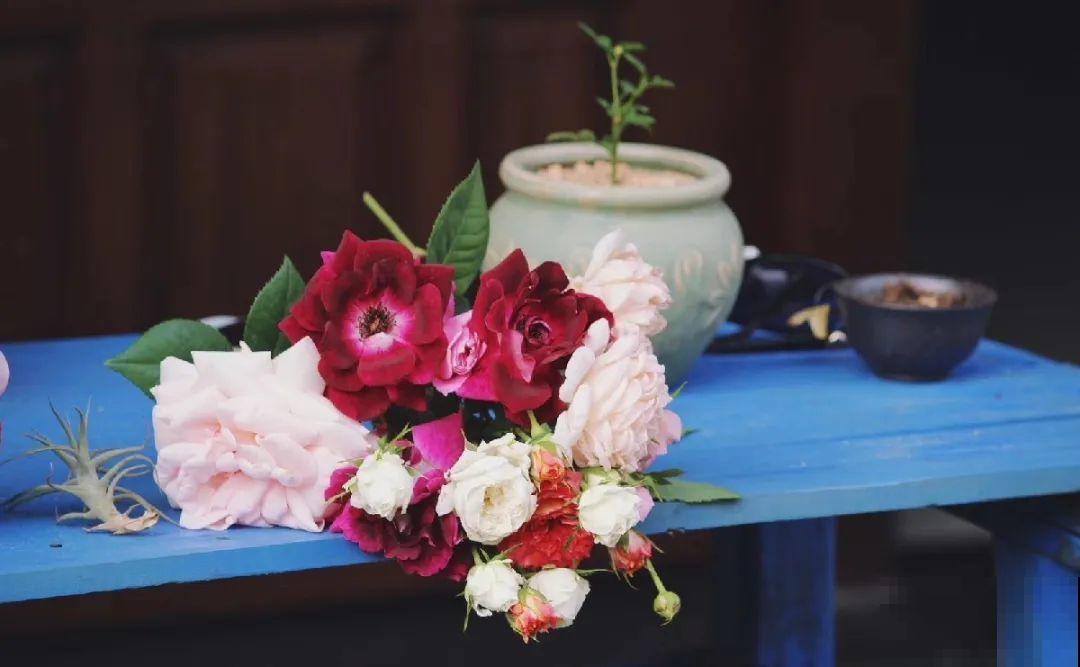 人家拆迁，我捡宝贝，花盆大缸……随便拿！