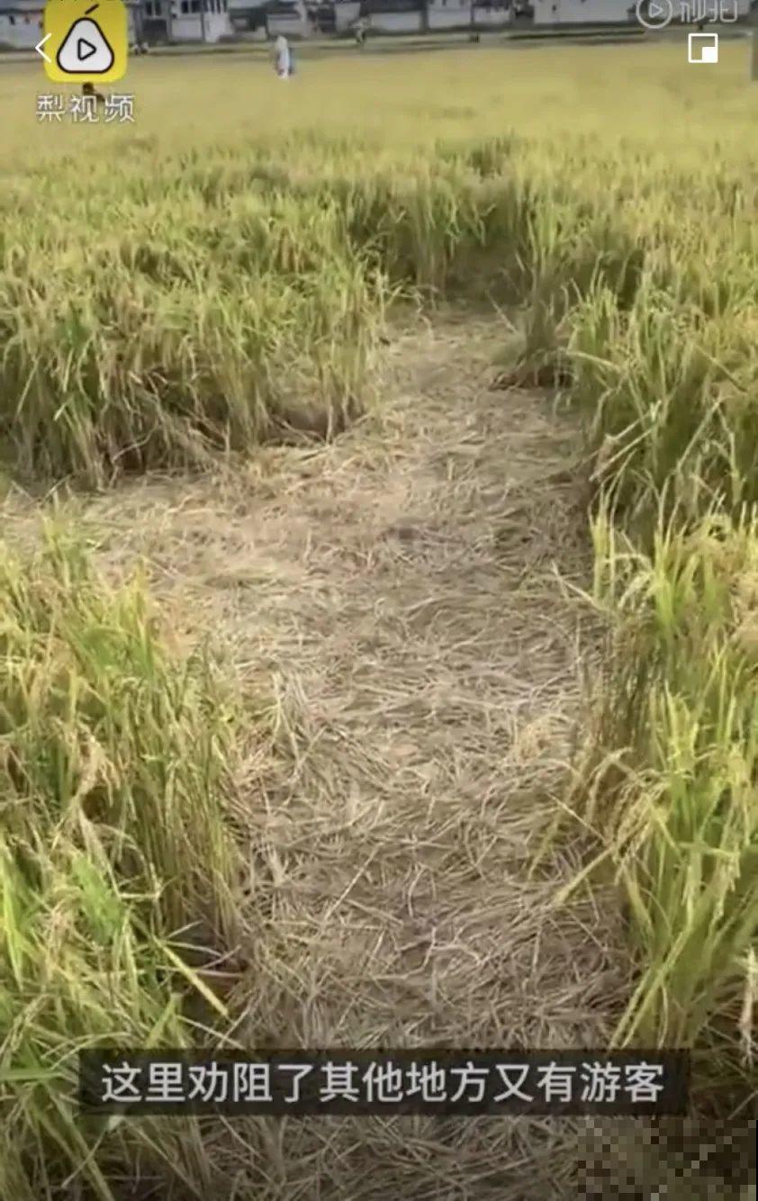 假期出门玩，遇到不文明行为，必须曝光！