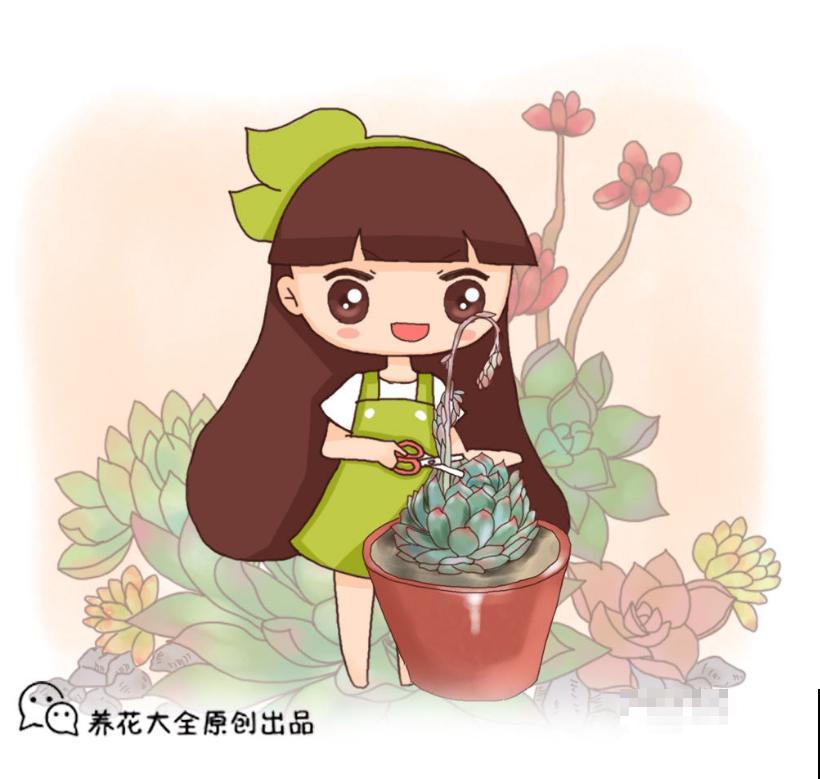 这5种多肉爱开花，花朵还极美，没见过亏大了！