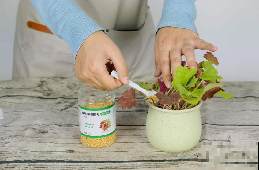 缓释肥要这么用，注意这3点，蹭蹭爆盆！