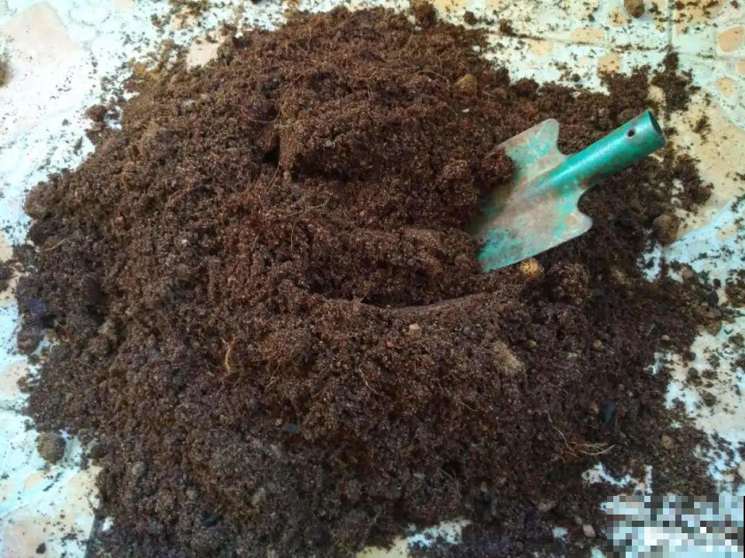 最好用的养花肥，盆里撒一把，1年不用换盆了！