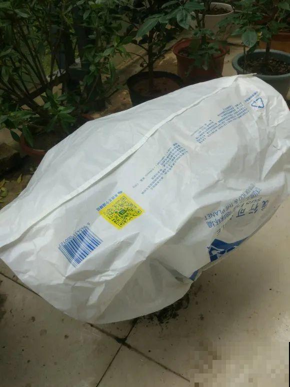 秋天降温快，家里养这9种花，要赶紧搬进屋了