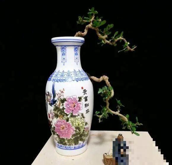 酒瓶子别丢掉,那可是种花神器,省了一笔买花钱 酒瓶子别丢掉,那可是种花神器,省了一笔买花钱