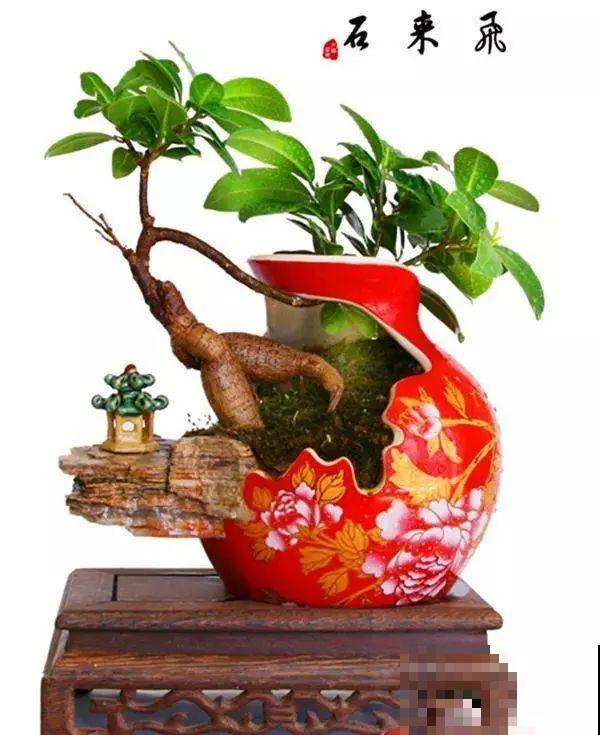 酒瓶子别丢掉,那可是种花神器,省了一笔买花钱 酒瓶子别丢掉,那可是种花神器,省了一笔买花钱