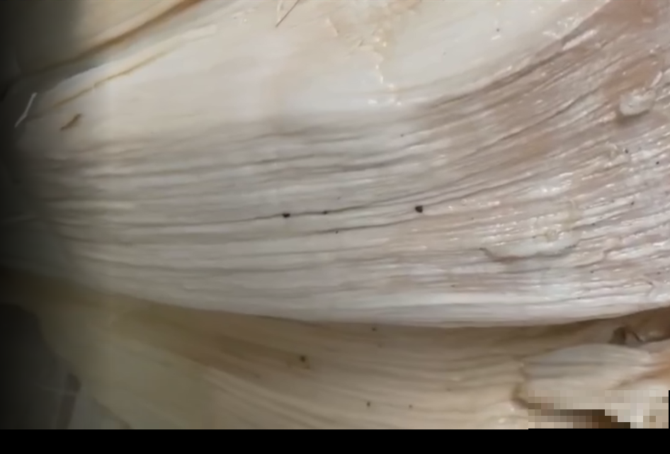 路边看到这种花，赶紧跑，离得越远越好！