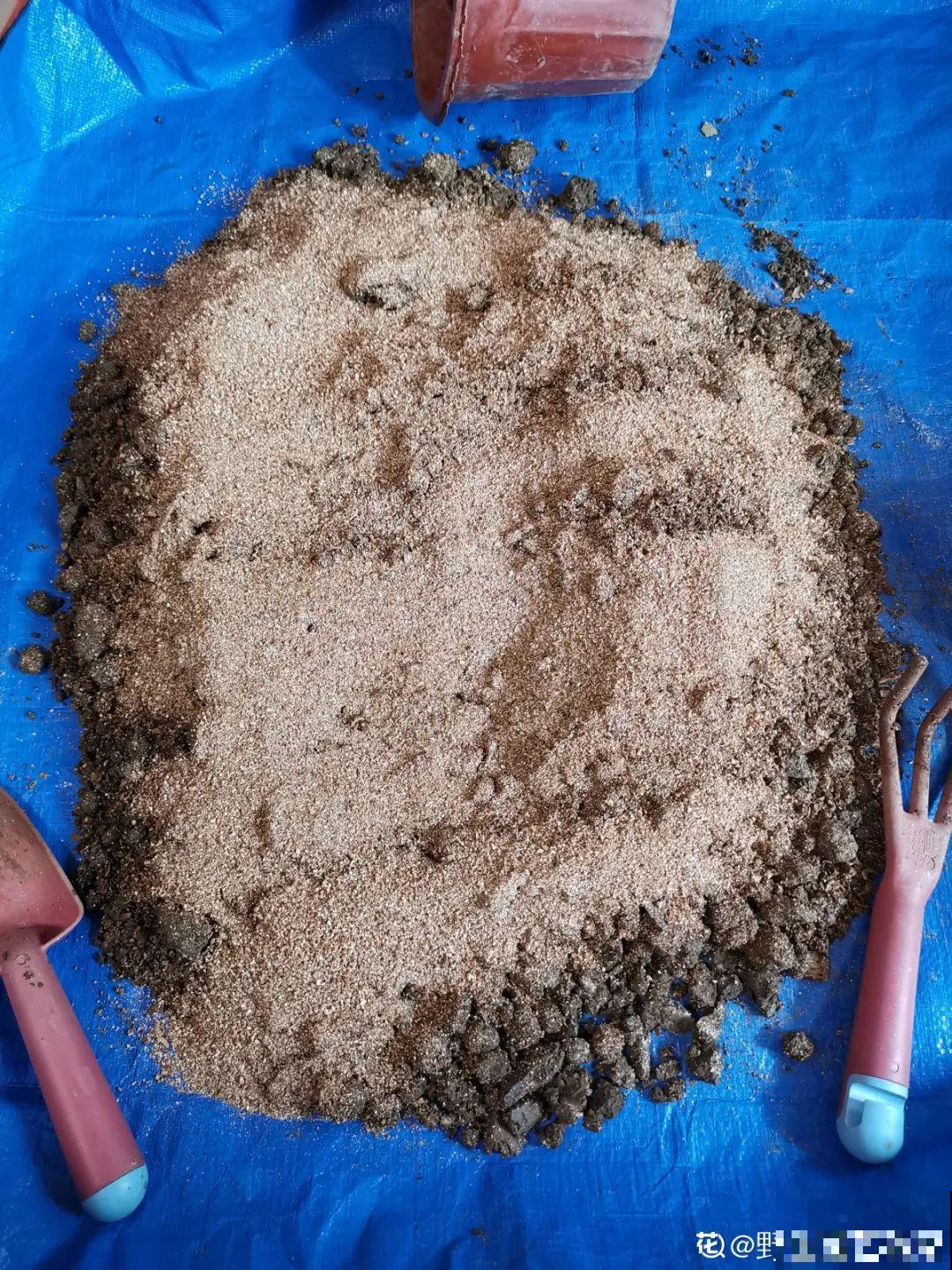 杀虫的好时机到了,虫卵一窝端,来年再也不生虫! 杀虫的好时机到了,虫卵一窝端,来年再也不生虫!