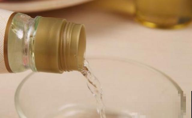 君子兰生长不佳，就喂一些“醋”，根系更壮硕，花朵更艳了