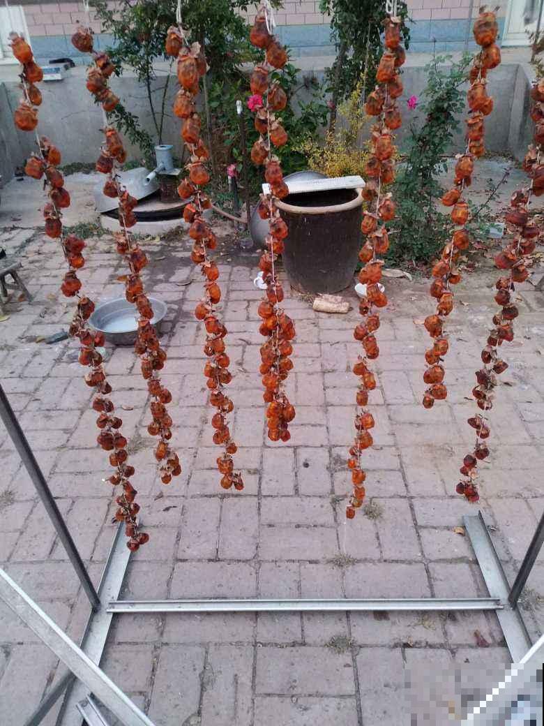 柿子丰收吃不完，赶紧晒成柿饼，香甜软糯特好吃